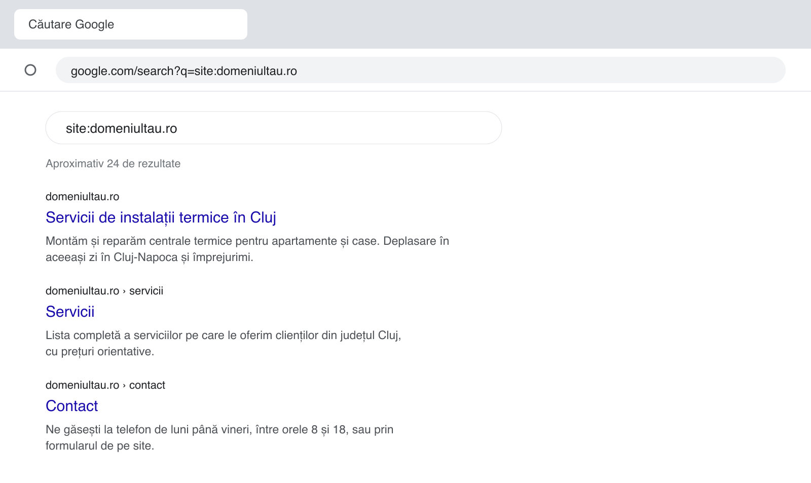 Rezultatele căutării site:domeniultau.ro în Google, cu numărul aproximativ de pagini indexate