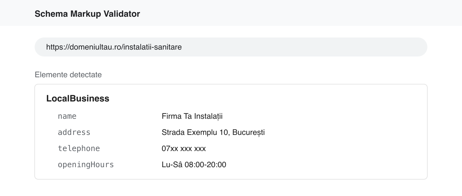 Validatorul schema.org cu un bloc LocalBusiness detectat