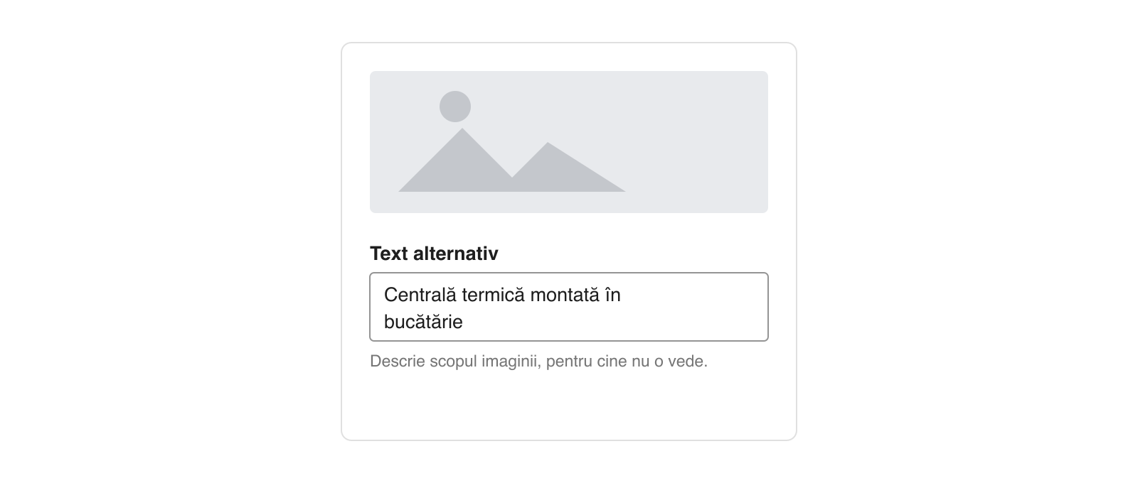 Câmpul de text alternativ completat pentru o imagine
