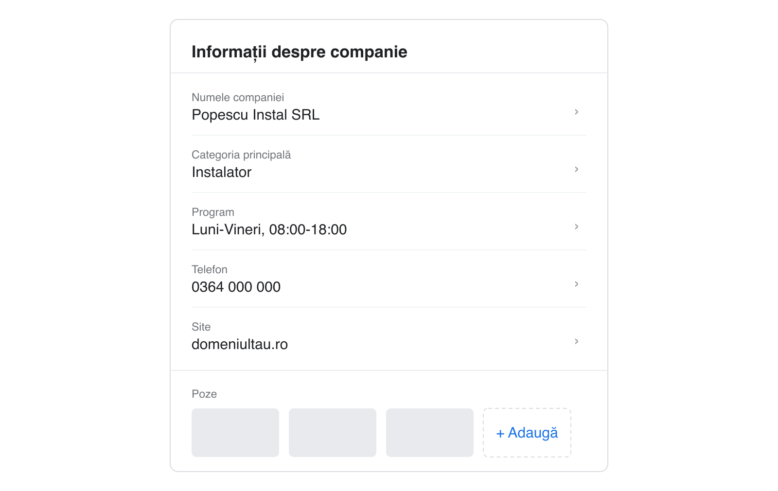 Ecranul de editare a profilului Google Business Profile: categorie, program, telefon și poze