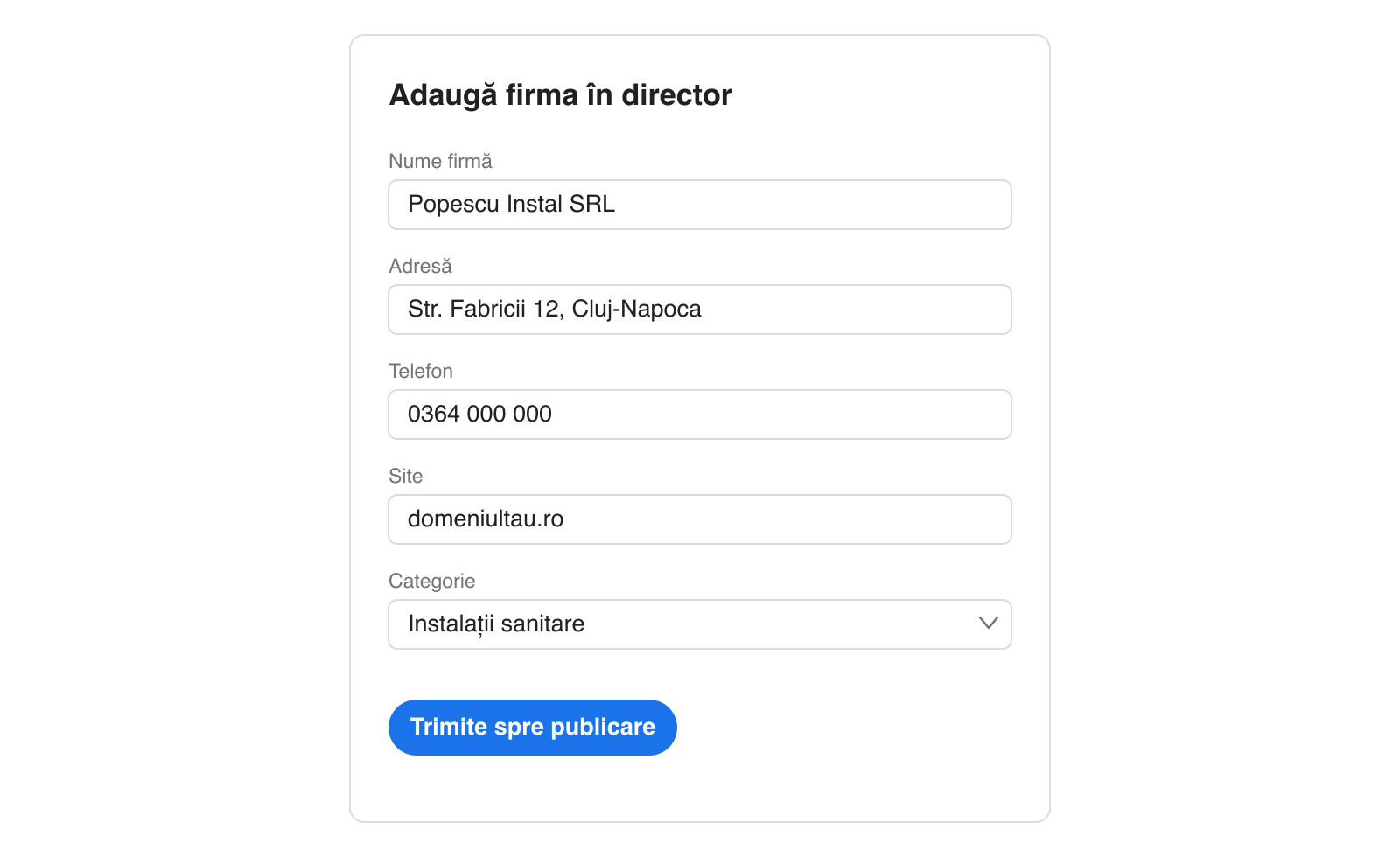 Formular de înscriere a firmei într-un director, cu datele completate